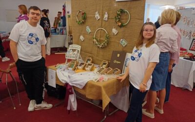 ODGOJNO  OBRAZOVNE  SKUPINE  (16-21 god.)