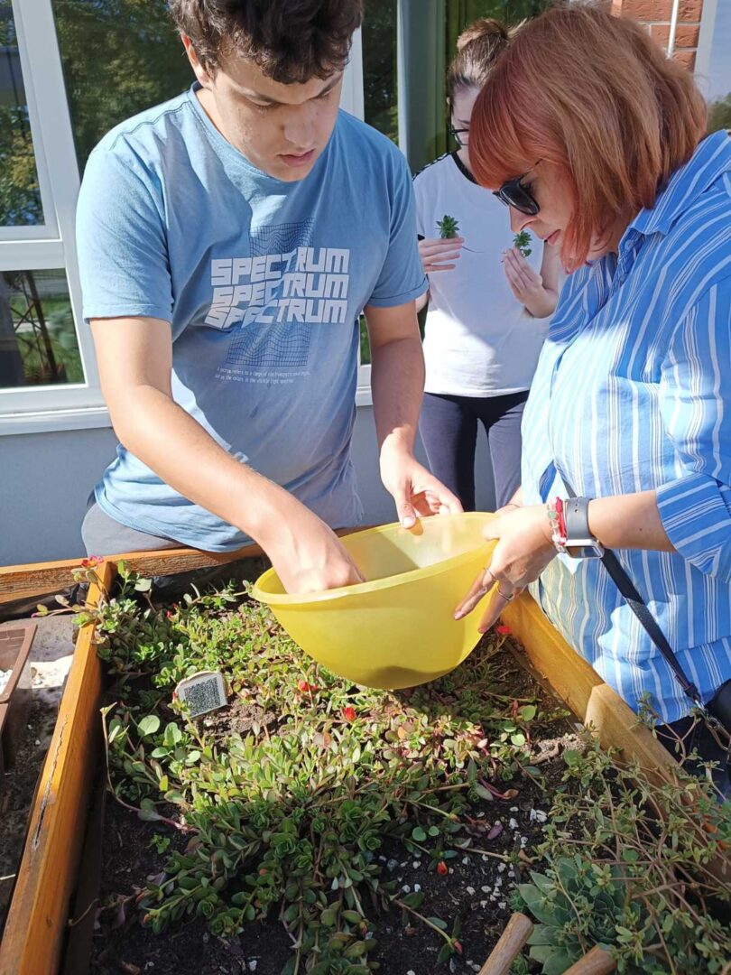 0-02-05-03503e448c27dd14530bcf1266c4c1bd2624688299336260e820143fa82d82bd_b4fa2cebfc86b902