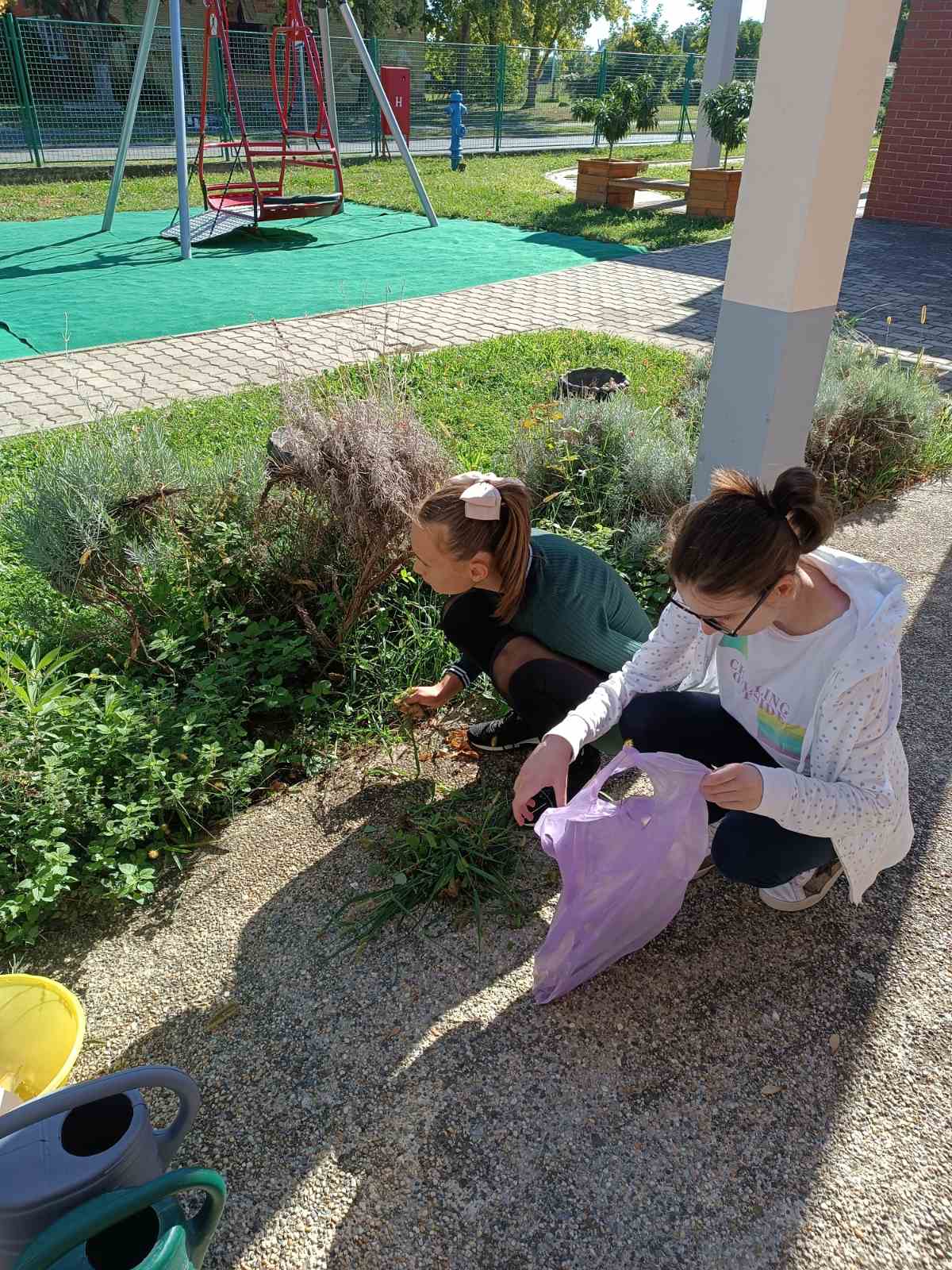 0-02-05-39605e2fe64c80fd39311c63698a9f7aad629c3fcd5044cbc5ff662f7161fdb0_e8e847f0fc5e3d3