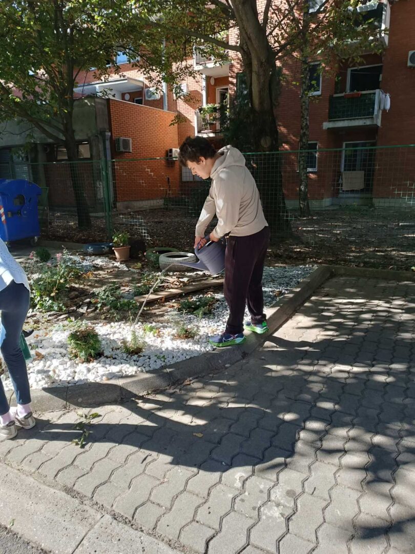 0-02-05-47b7774a82bf6d69eccf46f11a55194a801d04d420429ab110e4ff18650bbf26_f983e2190cdd4c7f