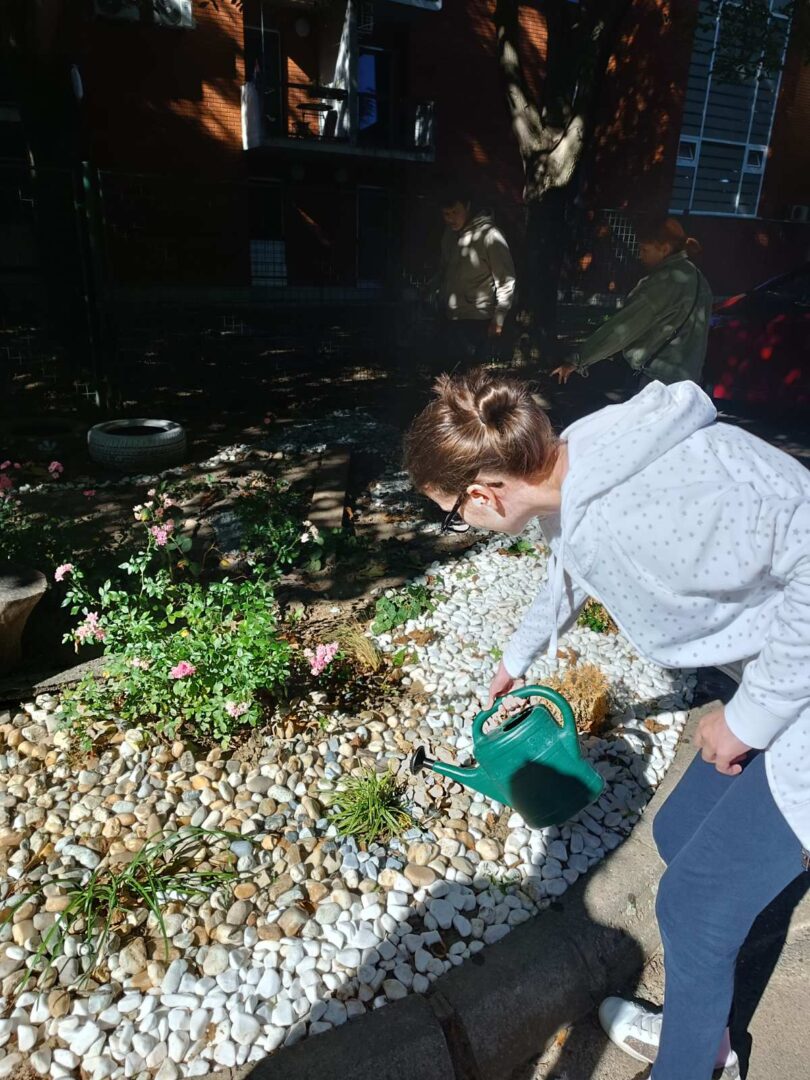 0-02-05-8c16de37be74dbdff8c08de0eebeaa250f516c179d7c4eac4d60b4348397e931_ecfbbf3b88ef9de1