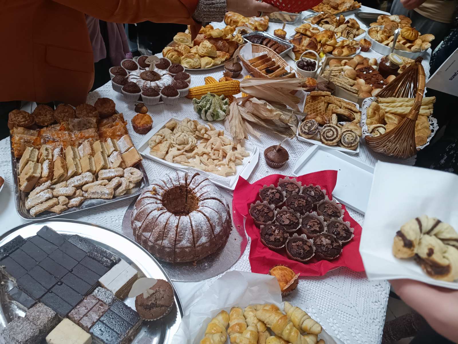 0-02-05-b5f9798477e6f6b2f6ca5e151d028cf791d719fec1090418939633d56e37204d_2e6849b6ed161fe4