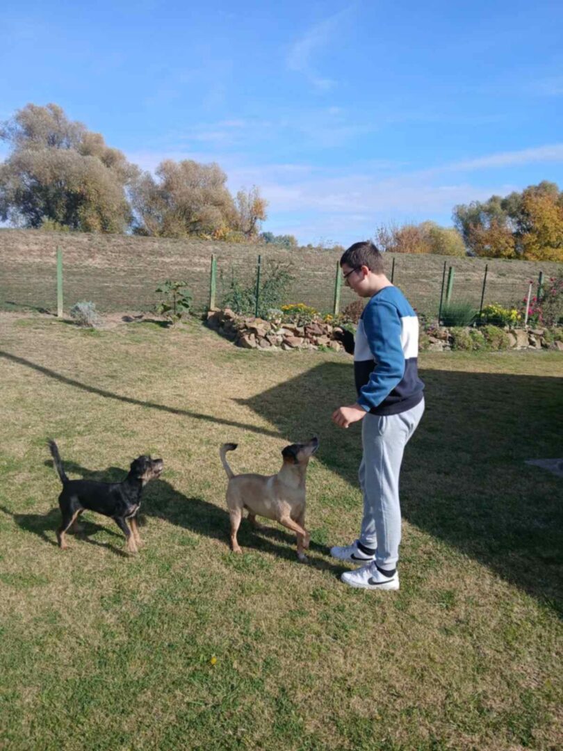 0e1b593e-b236-461e-bad7-8559c8bb1a3c