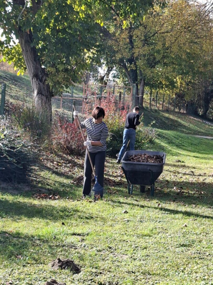 28945341-1695-407f-ab93-f33ed18ab6f2