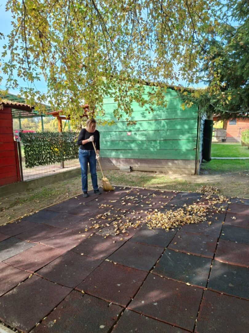 74dd6946-baa6-4a64-a852-8d1a00cc52c1