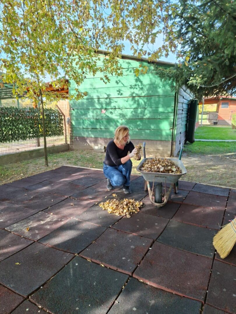 8236b388-474a-4abc-9149-71ac91e68513