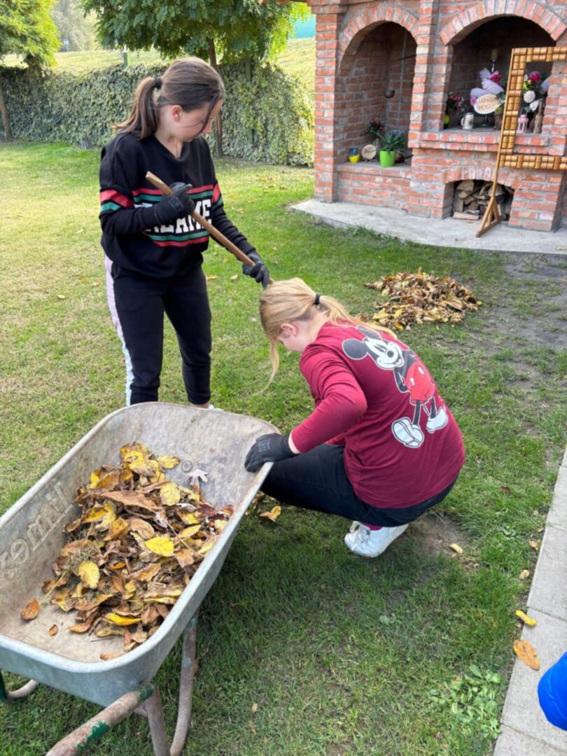 826c01be-c1d0-4aa4-9735-d747582d1994