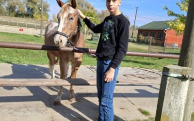 Međunarodni dan volontera