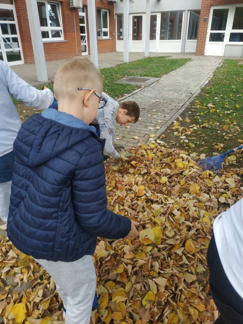 viber_image_2025-10-30_14-22-07-524