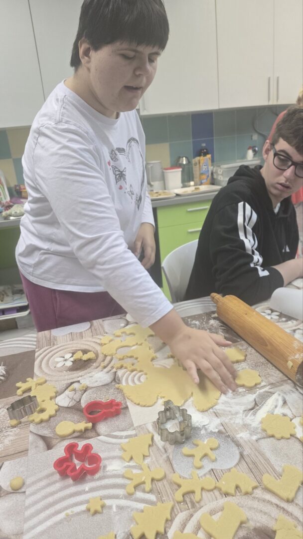 viber_slika_2025-12-12_17-12-49-081